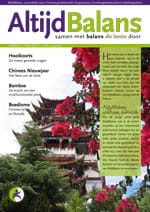 Bekijk altijdbalans_2008_01.pdf
